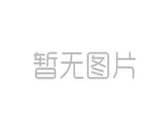 中核(天津)机械有限公司起重机2020年度维护维